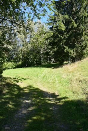 Hier geht es rechts den Weg hoch!