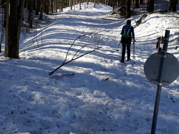 Aufstieg Forststraße - der Schnee ist noch ziemlich hart
