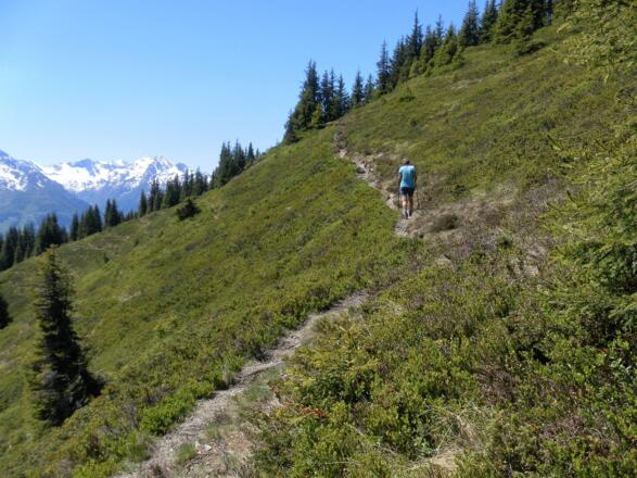 Pfad von der Hütte zur Alm