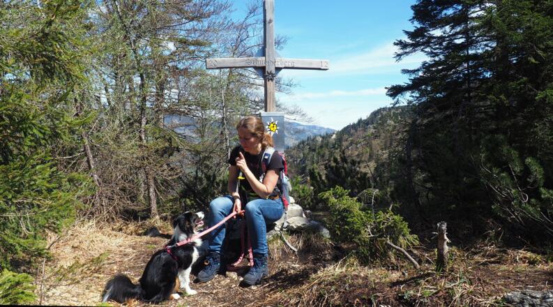 Kreuz Schneiderkogel 1324m