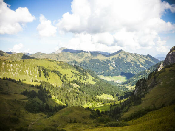 Ein Rückblick
