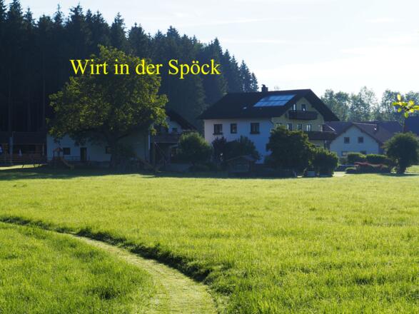 Wirt in der Spöck