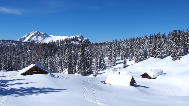 Schartenalm ~1520m mit Gamsfeld