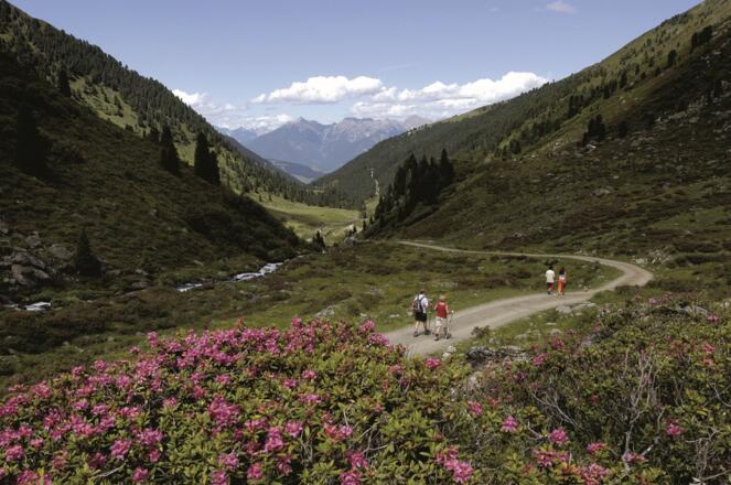 Im Fotschertal: Aufstieg zur Potsdamer Hütte.