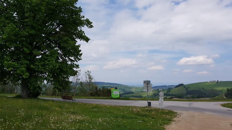 Unterhalb vom Freidhofberg