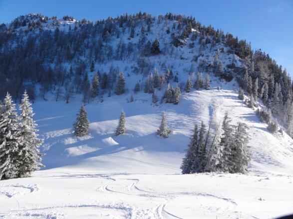 Gipfelhang - vom sonnigen Sattel schräg queren zum Gipfel