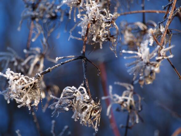 Schattiger Parkplatz Dorngraben 476m