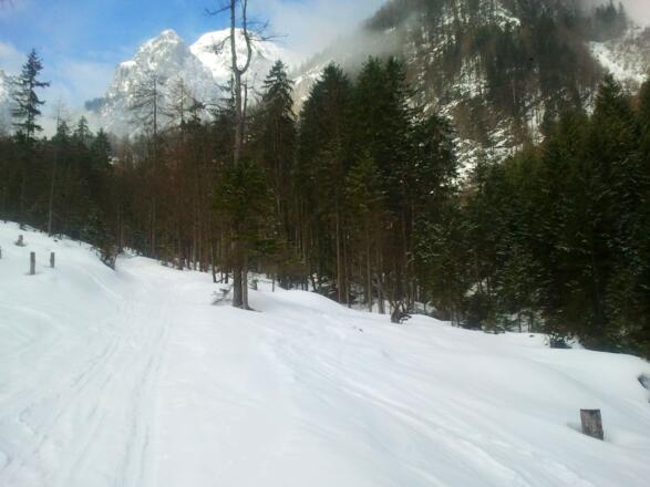 Auf dem Weg zur Poppenalm.