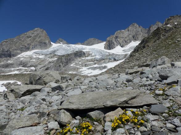 Blick zurück auf Kuchelmooskopf und Reichenspitze.