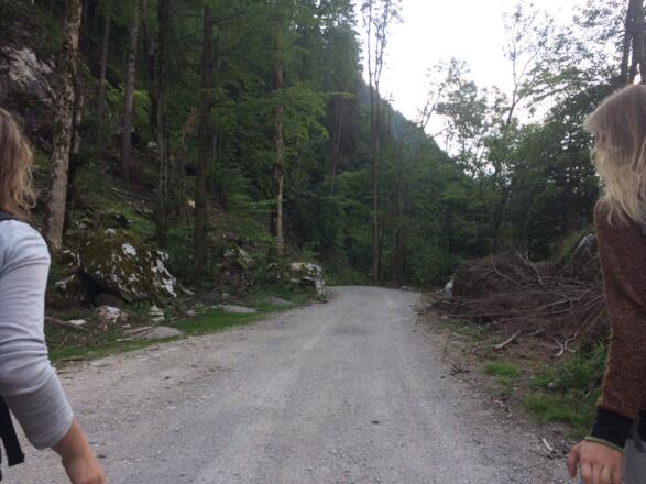 Weg von der Ferienwiese nach Weissbach