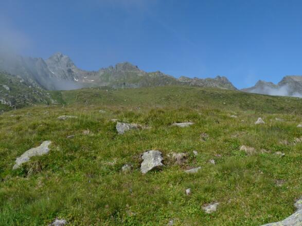 Nach der Schäferhütte wandern wir noch ein kurzes Stück über schöne alpine Alpweiden. Im Hintergrund ist bereits das Wallfahrtsjöchl (l.) erkennbar.