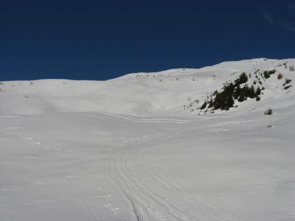Kurz nach dem Waldstück erreichen wir freie Hänge und somit herrliches Schitourengelände.