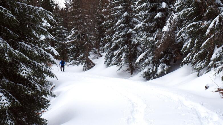 Winterlandschaft um 1030m