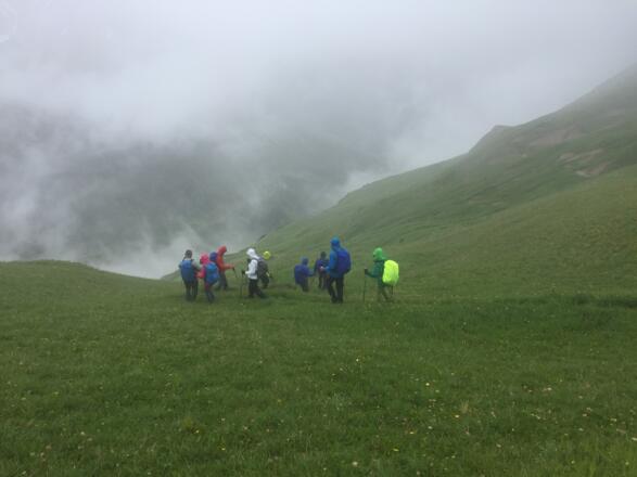 weglos durchs hohe Gras talwärts, dabei leicht rechtshaltens