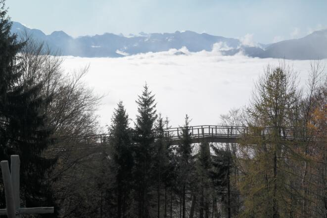 Im Spätherst ist diese Szenerie öfters zu beobachten: Der Traunsee im Nebel, während oben am Gipfel die Sonne scheint.