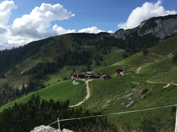Dalfazer Alm