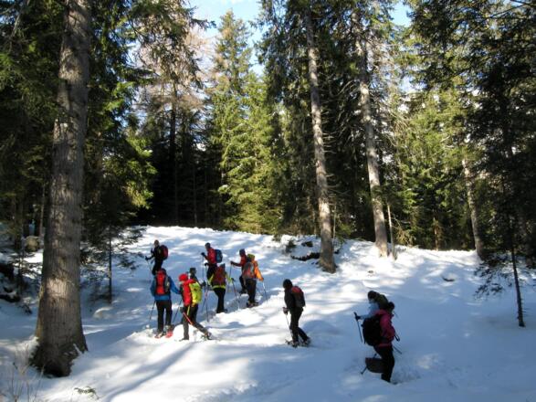 Nie wirklich steil geht es aufwärts.