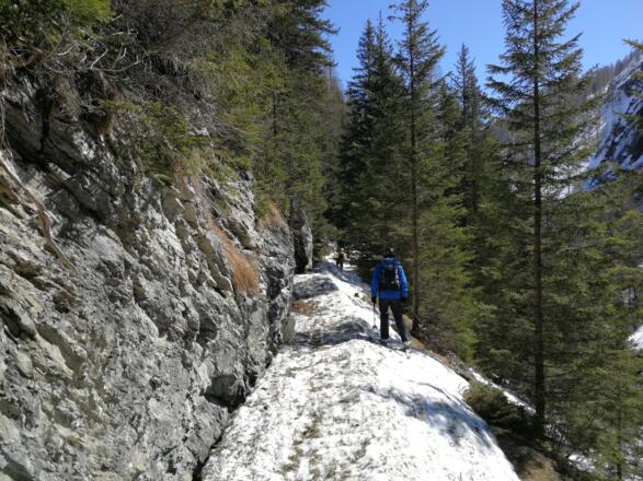 Abfahrt auf dem Wanderweg entlang vom Riedingbach bis zum Parkplatz