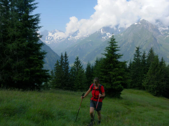 SW-Rücken mit Blick in die Glockner Gruppe Nord