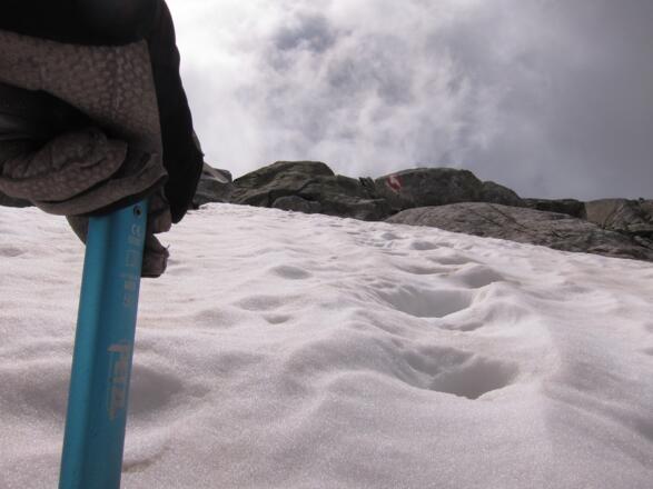 Ganzjährige Schneefelder im Anstieg zum Weinschnabel (06.07.2016)