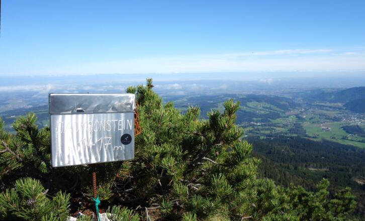 Jacksonstein 1417m