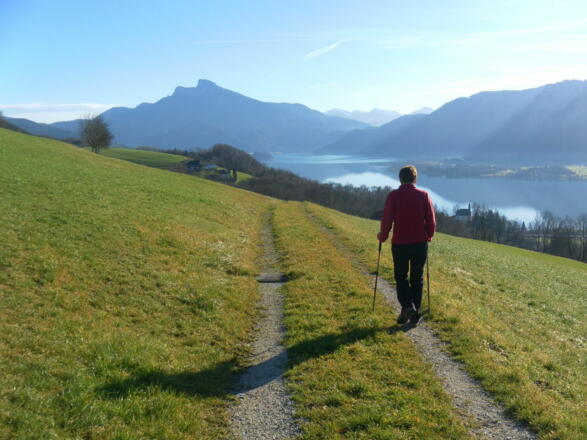 zurück nach Mondsee mit Schafbergblick