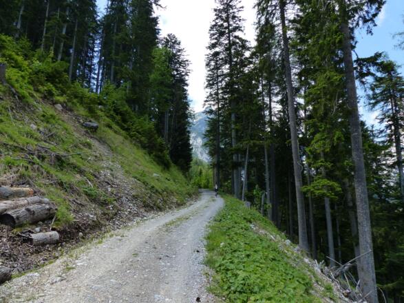 Nach der Ganalm sind es noch 300 HM bis zur Walderalm.