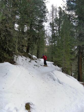 kurze dichtbewaldete Steilstufe hinunter ins Horlachtal