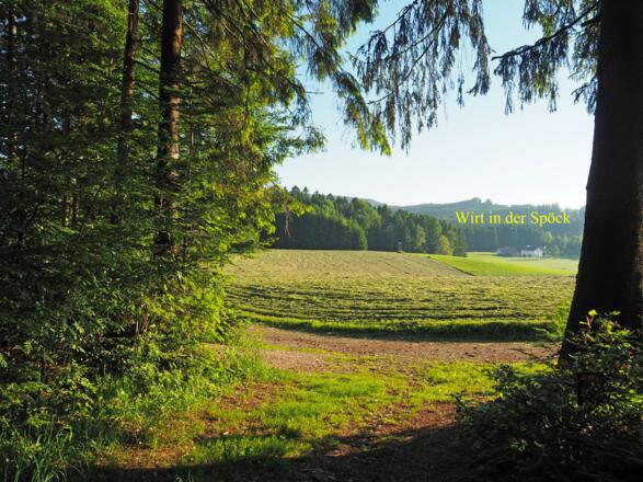 Die Spöck kommt in Sicht