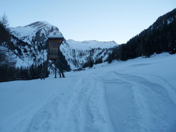Kurz nach dem Weiler Venn, erreichen wir die Vennalm (1527 m).