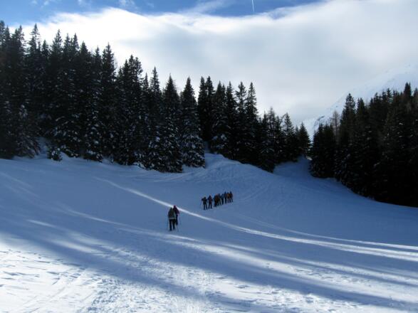 Die letzten Meter zum See. Beim sichtbaren Einschnitt im Waldgürtel schlüpft man hindurch und erreicht den See.
