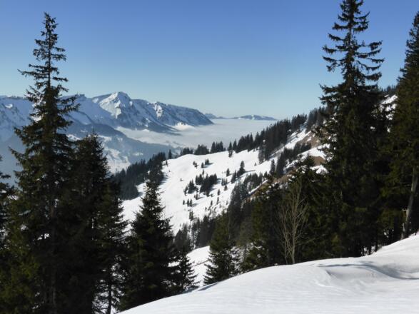 Winterstaude über Sibratsgfäll