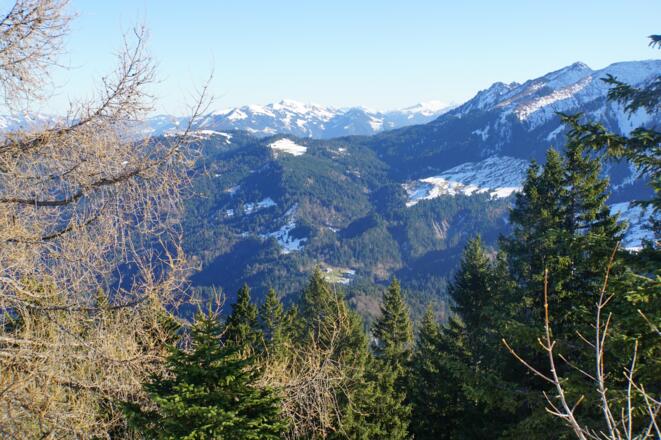 Aussicht vom Bocksberg