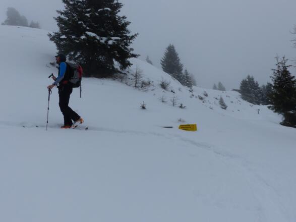 Wir passieren die Wegtafel "H. Gemeindekopf", "Wildgrat", usw.