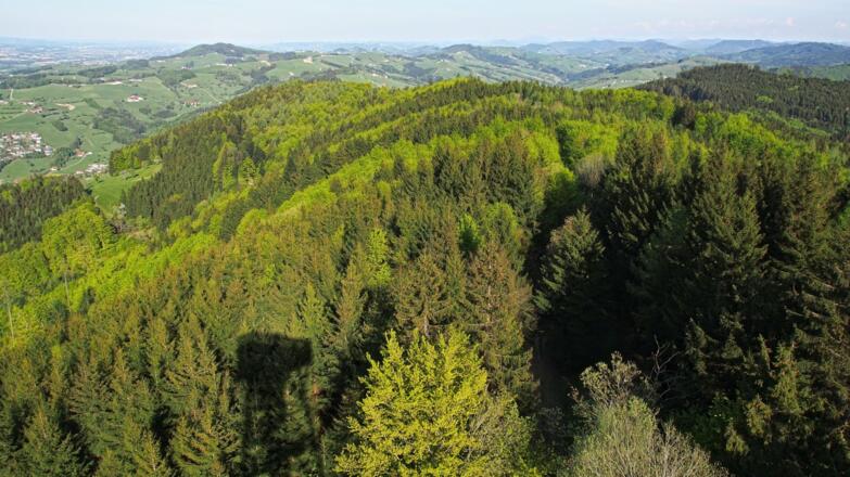 Ausblick vom Damberg nach Osten