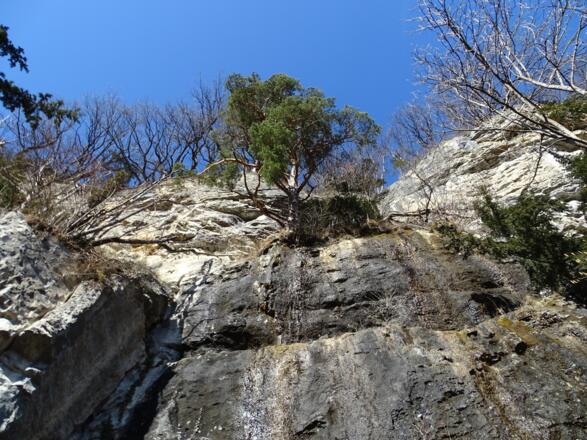 Die ganze Felswand ist derart imposant und abwechslungsreich