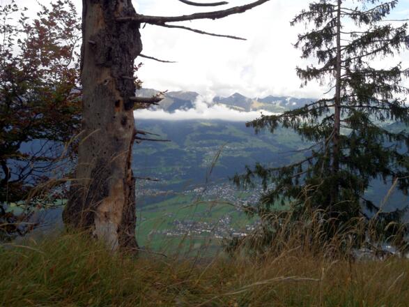 Ausblick  vom Tschalengaberg