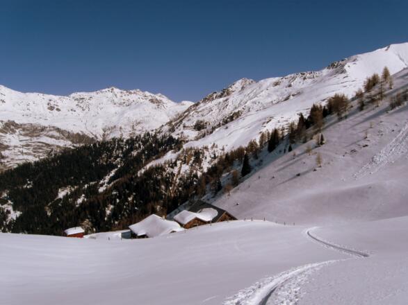Oberhalb des Blasigleralm Hochlegers. Auf der gegenüberliegenden Talseite die Naviser Sonnenspitze.