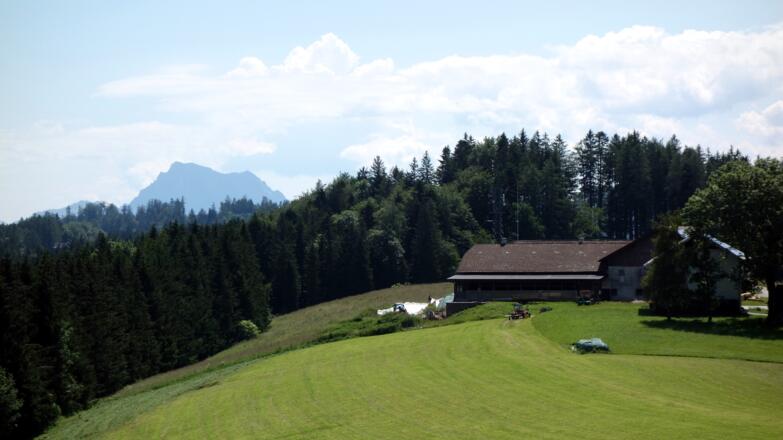 Blick vom Gahberg 864m zum Traunstein