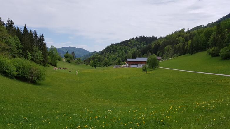 Blick zum Bauernhof Reithner.