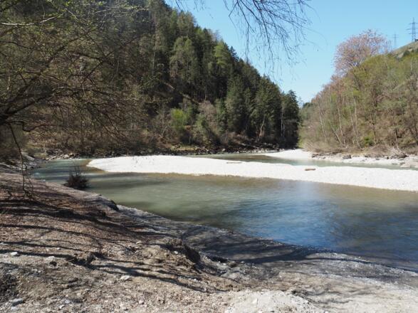 wertvolle Lebensräume für so manche Tiere und Pflanzen...