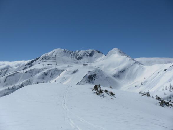 Gamskogel und Schwarzkopf, dahinter Steinfeldspitze