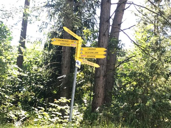 Wegweiser zum Linserhof