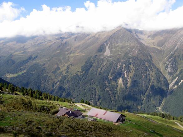 Kurz oberhalb der Juifenalm