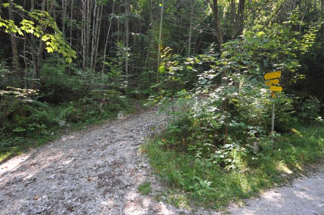 Hier bleiben wir links auf dem Zellerlweg