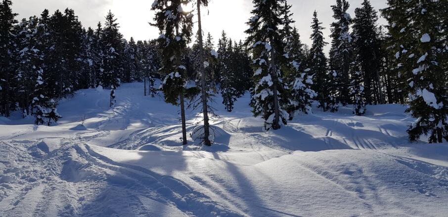 Nie steiles, sicheres Gelände