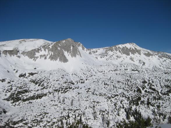 Blick zum Schneeberg und Hohen Nock (Sengsengebirge)