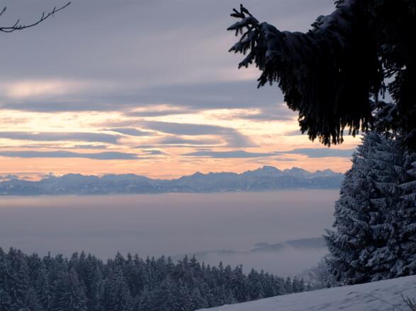 Gis 927m mit Blick zum Prielkamm