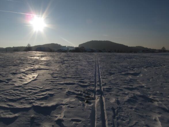 St. Oswalder Höhenweg bei Witzelsberg