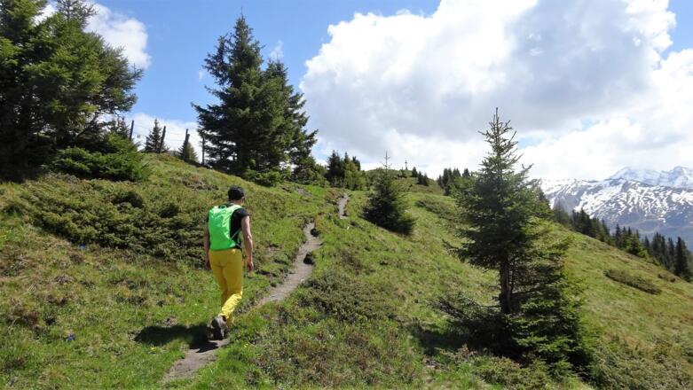 Der Kamm, der nun bis zum Gipfel weiter verfolgt wird, ist erreicht. und nur wenig später ...